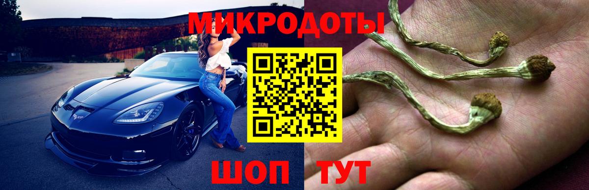 Ухта  купить закладку  Вход с VPN  Псилоцибиновые грибы мицелий 