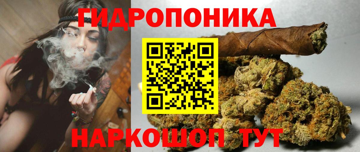 Бошки марихуана AK-47 Ухта